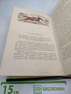 Похитители бриллиантов