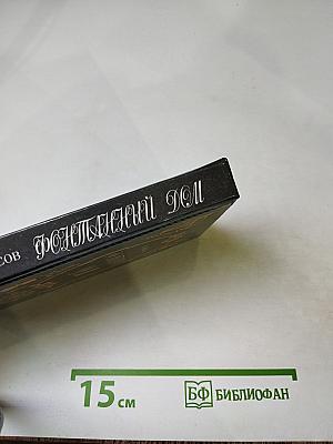 Фонтанный Дом