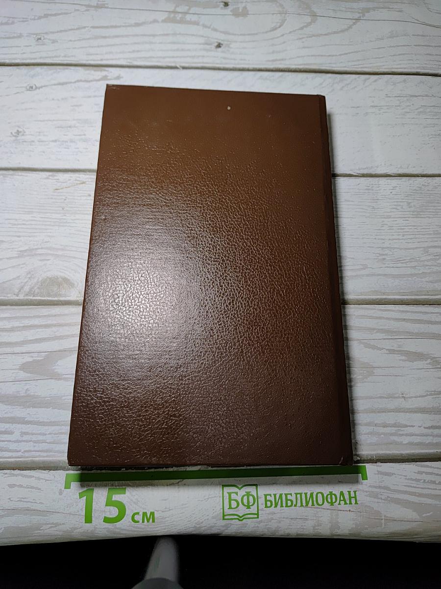 Одинокая колдунья; Дом в огне