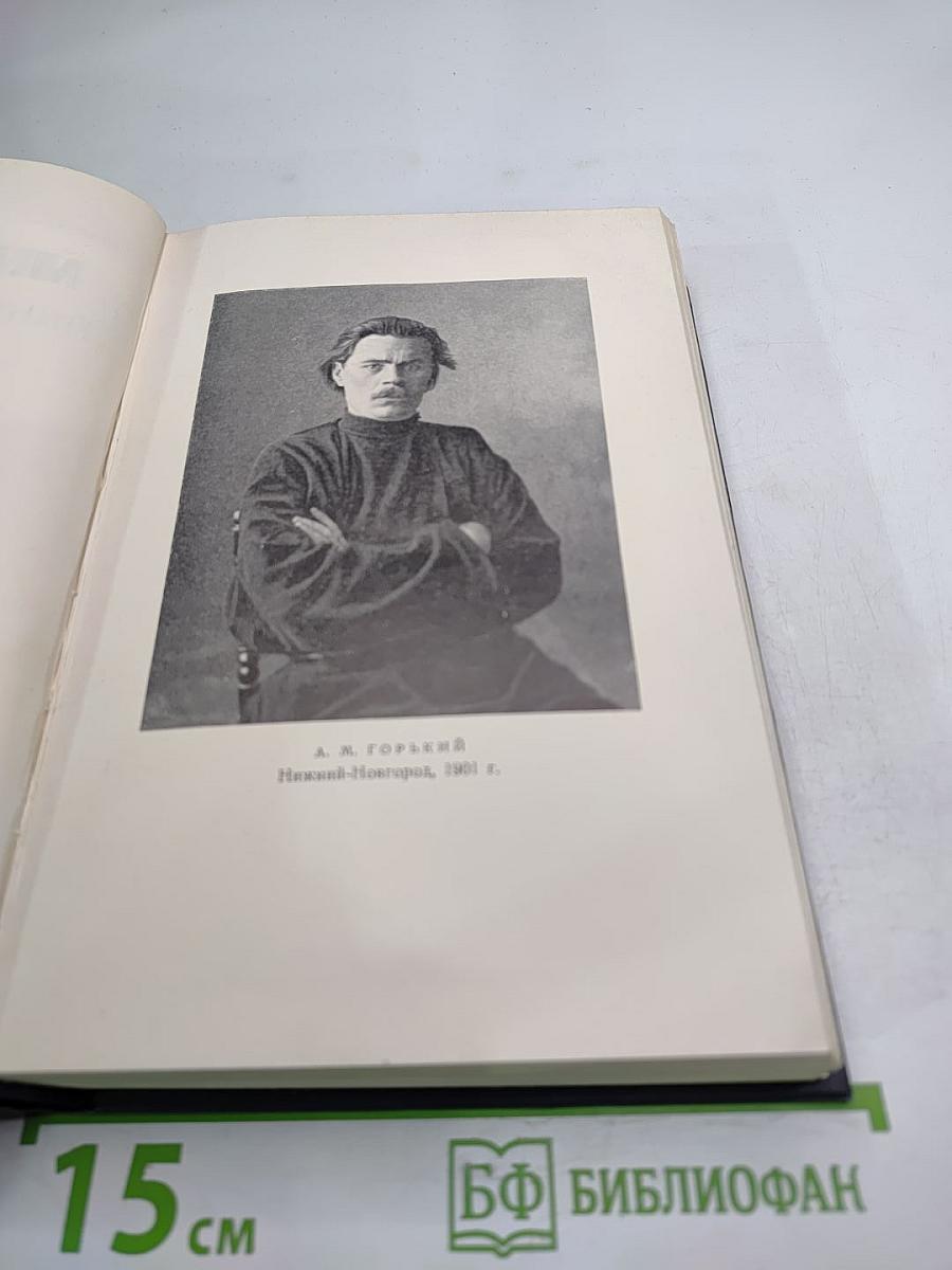 Пьесы. 1901-1906. Том 6