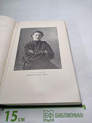 Пьесы. 1901-1906. Том 6