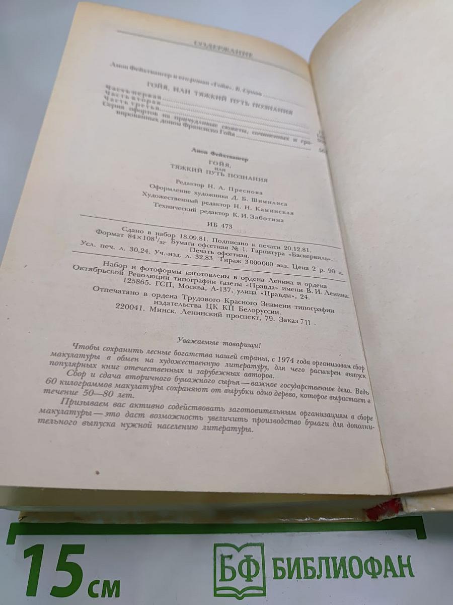 Гойя, или Тяжкий путь познания