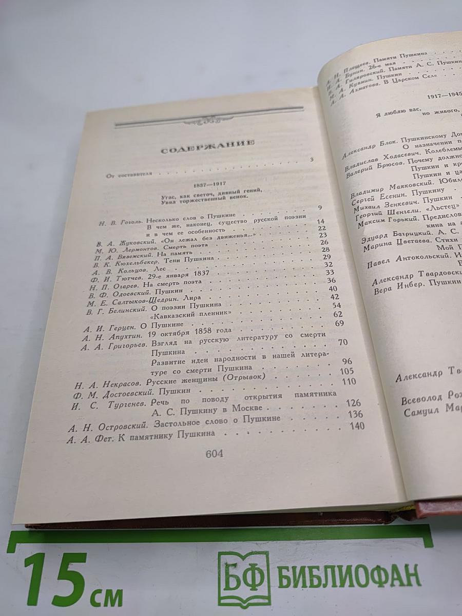 Светлое имя Пушкин