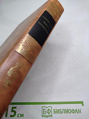 Светлое имя Пушкин