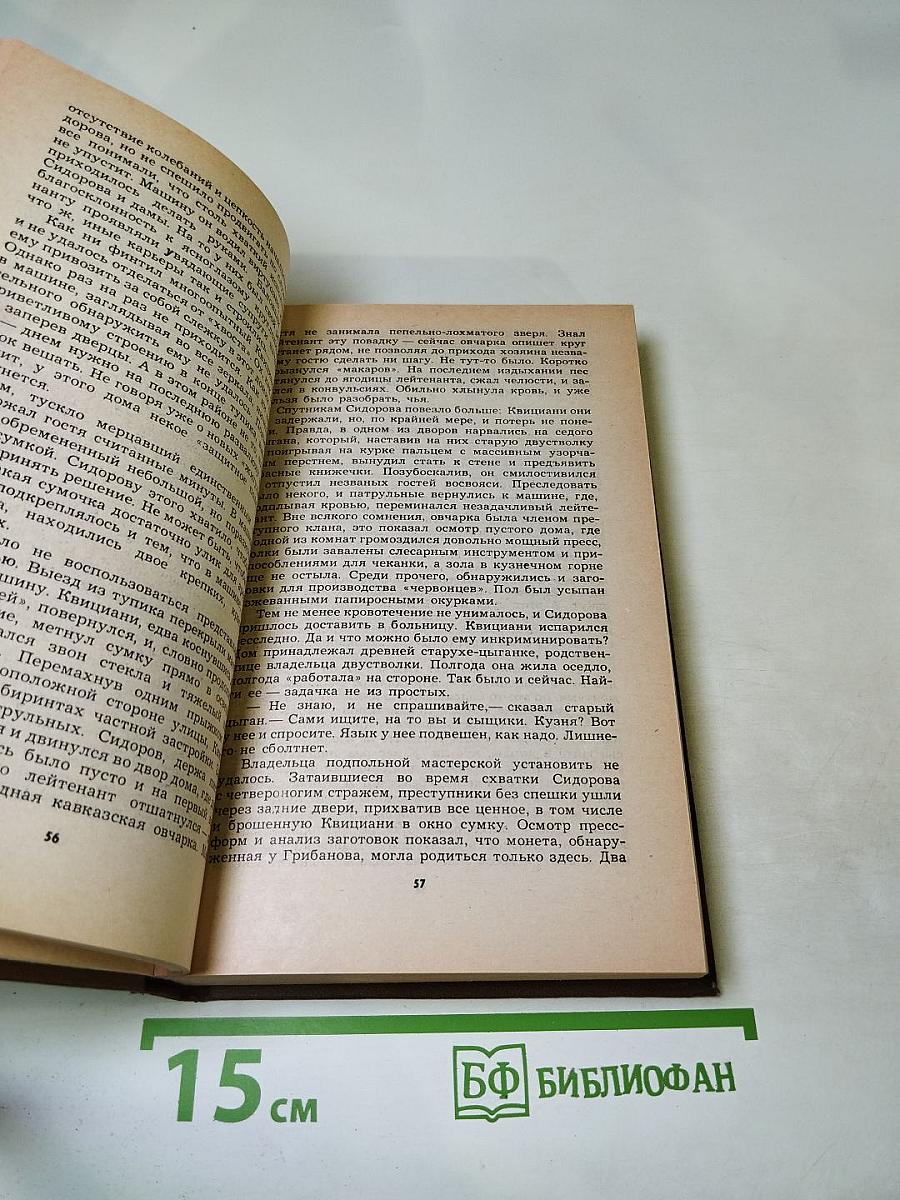 Русское видео. Детективные повести