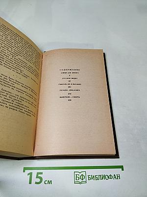 Русское видео. Детективные повести