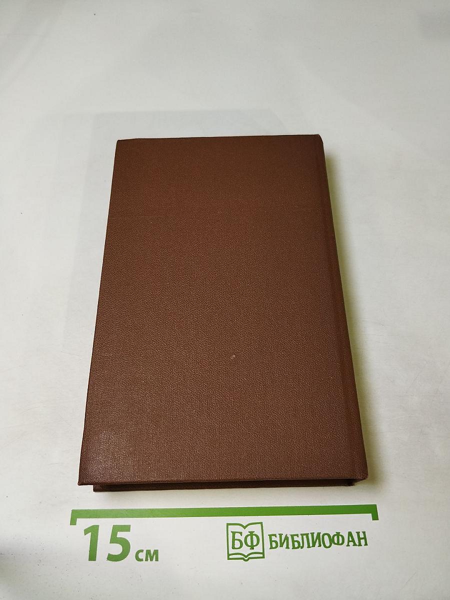 Русское видео. Детективные повести