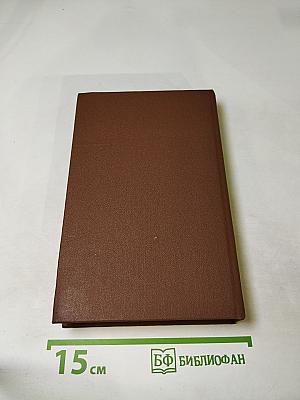 Русское видео. Детективные повести