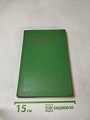 Стихотворения. Поэмы. Том 2. Собрание сочинений в двух томах