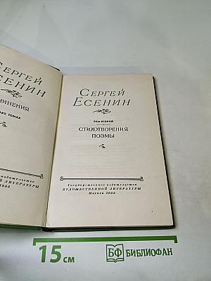 Стихотворения. Поэмы. Том 2. Собрание сочинений в двух томах