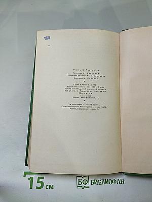 Стихотворения. Поэмы. Том 2. Собрание сочинений в двух томах