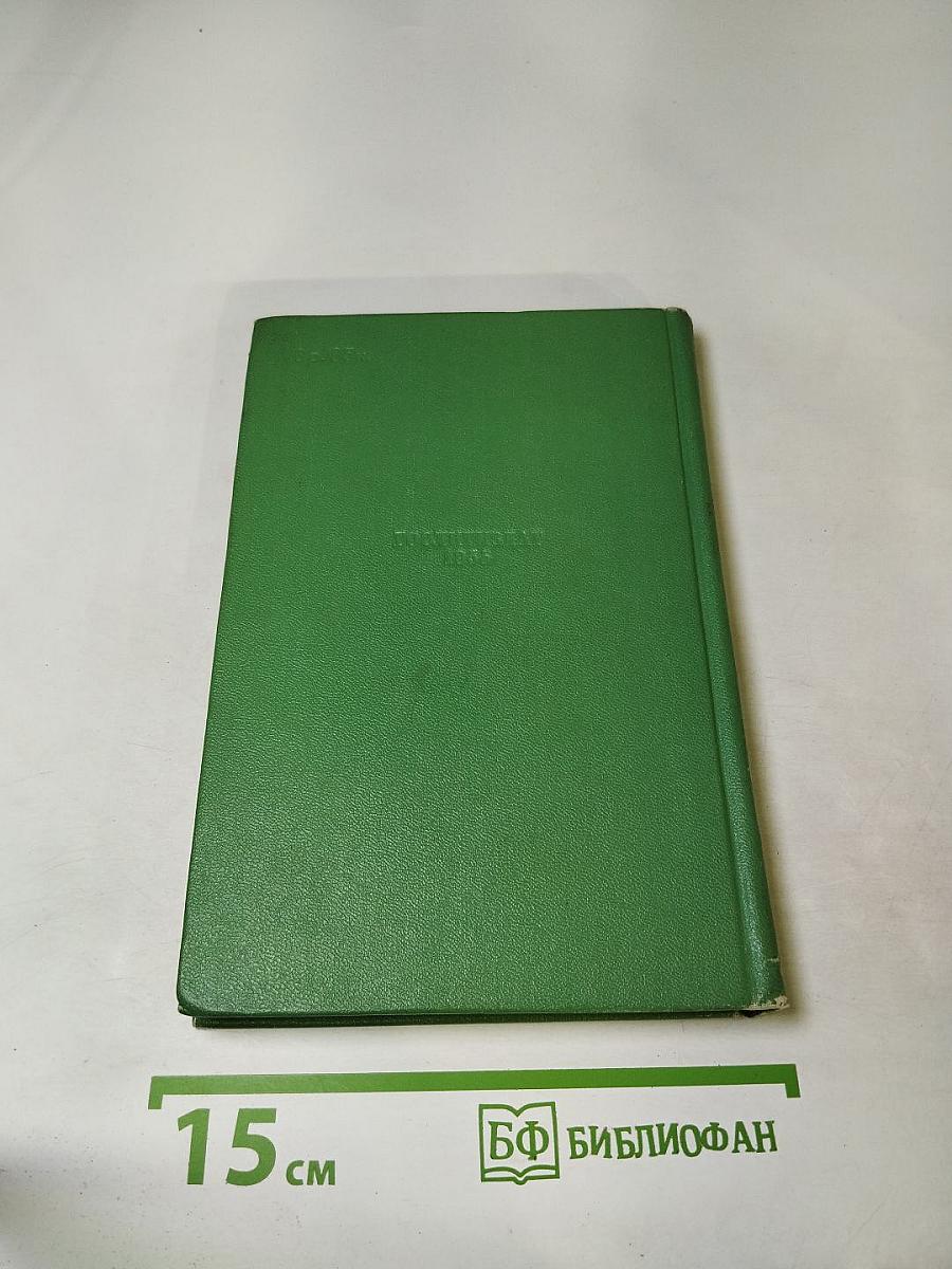 Стихотворения. Поэмы. Том 2. Собрание сочинений в двух томах