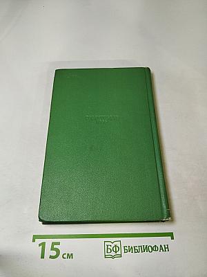 Стихотворения. Поэмы. Том 2. Собрание сочинений в двух томах