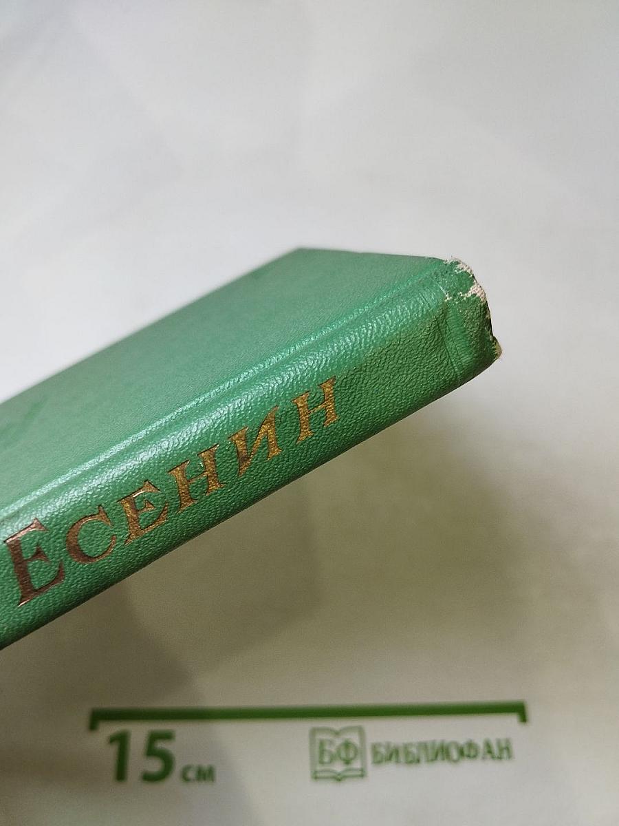 Стихотворения. Поэмы. Том 2. Собрание сочинений в двух томах