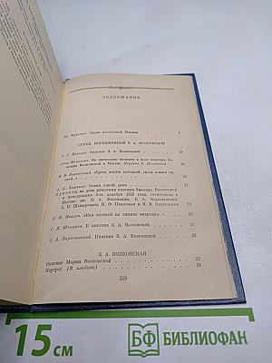 В царстве муз: Московский литературный салон Зинаиды Волконской. 1824–1829 гг.