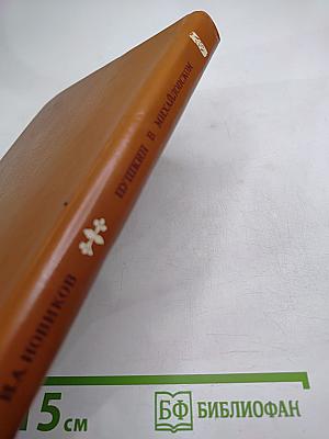 Пушкин в Михайловском