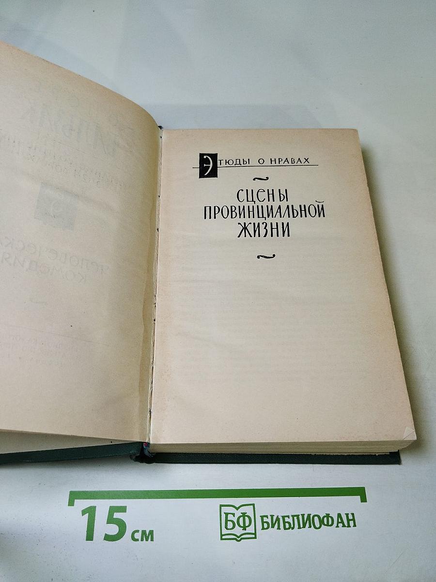 Человеческая комедия. Этюды о нравах. Сцены провинциальной жизни. Том 9