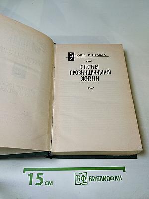 Человеческая комедия. Этюды о нравах. Сцены провинциальной жизни. Том 9