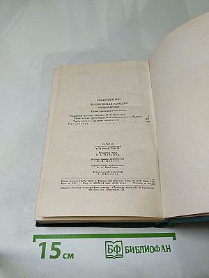 Человеческая комедия. Этюды о нравах. Сцены провинциальной жизни. Том 9
