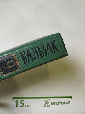 Человеческая комедия. Этюды о нравах. Сцены провинциальной жизни. Том 9