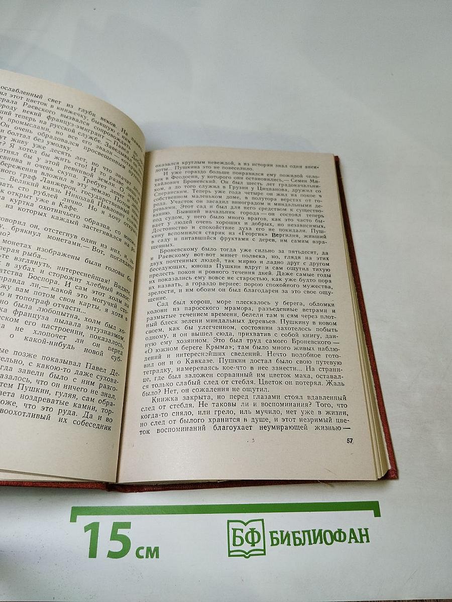 Пушкин на юге