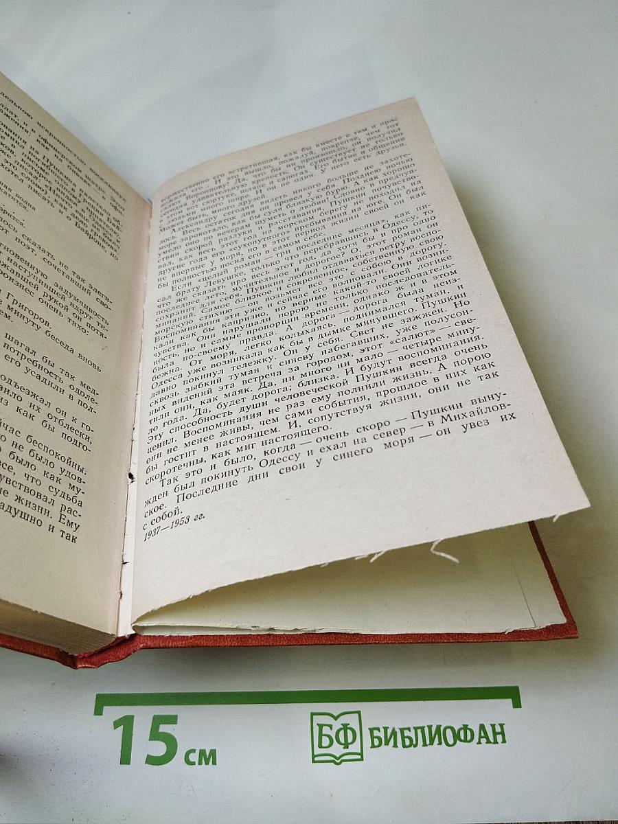 Пушкин на юге