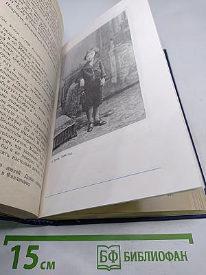 Я лучшей доли не искал... Судьба Александра Блока в письмах, дневниках, воспоминаниях