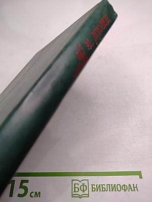 Двадцать лет спустя. Том 1