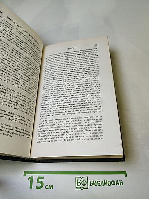 Правдивое комическое жизнеописание Франсиона