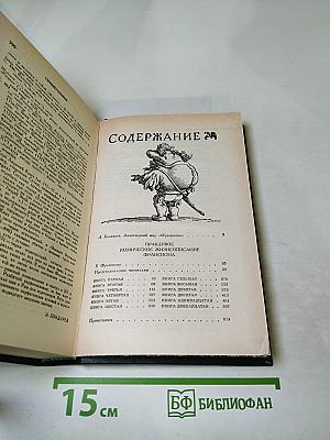 Правдивое комическое жизнеописание Франсиона