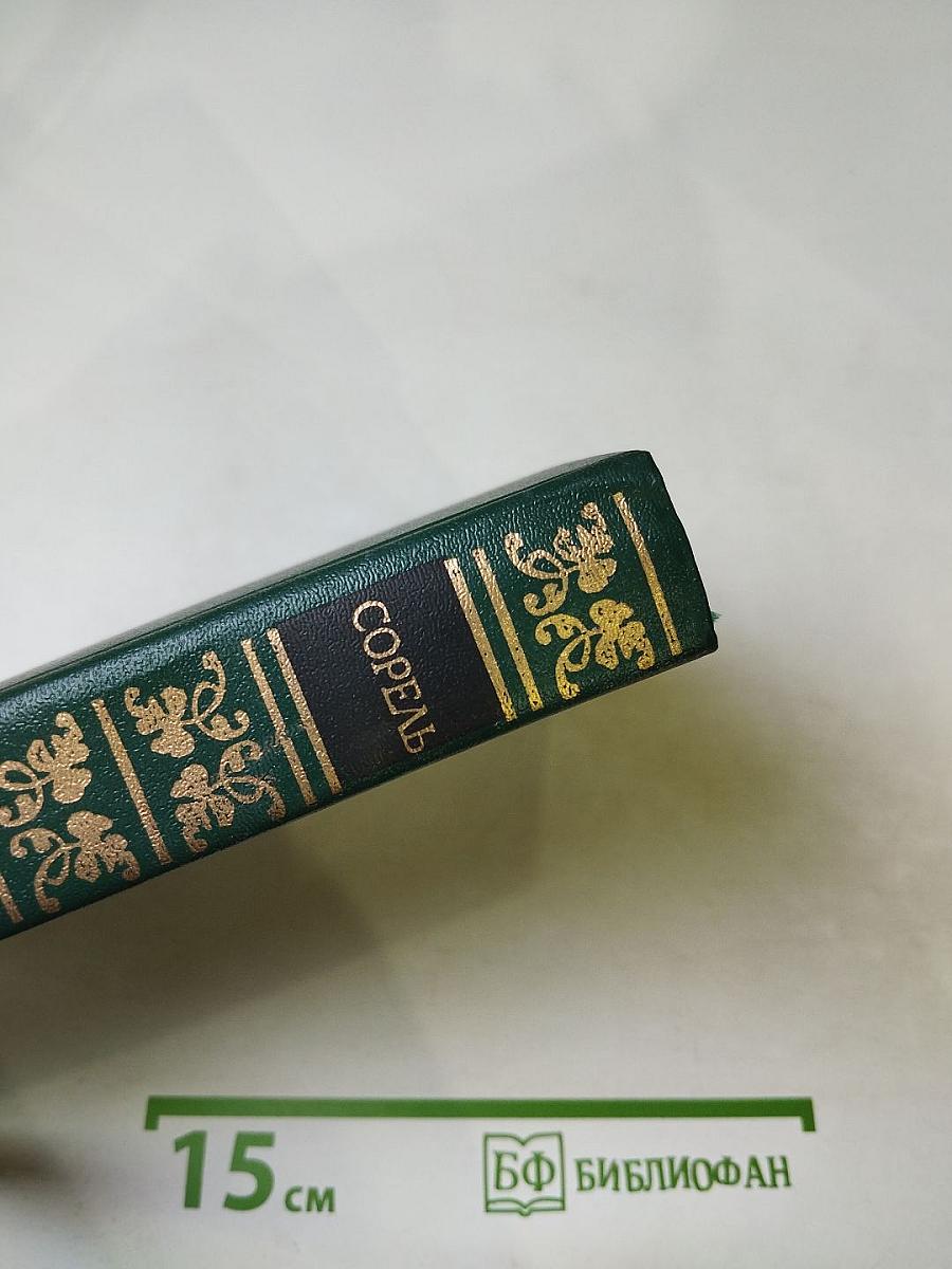 Правдивое комическое жизнеописание Франсиона