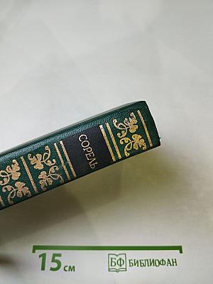 Правдивое комическое жизнеописание Франсиона