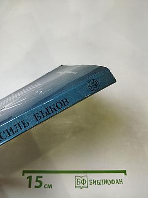 Третья ракета. Дожить до рассвета