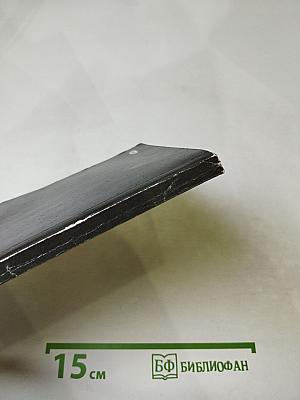 Своевременные мысли, или Пророки в своём отечестве