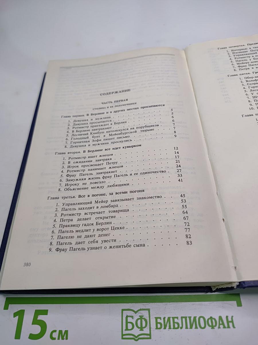 Волк среди волков. Книга первая. Том второй