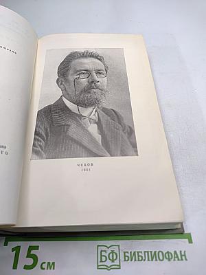 Собрание сочинений. Том двенадцатый. Письма 1898-1904