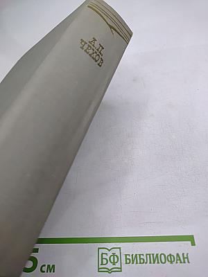 Собрание сочинений. Том двенадцатый. Письма 1898-1904