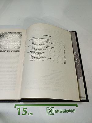 Кто правит бал?