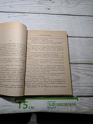 Американская звезда. Том 2