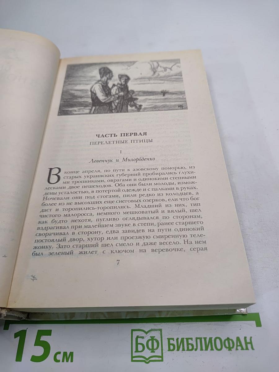 Беглые в Новороссии. Воля. Княжна Тараканова