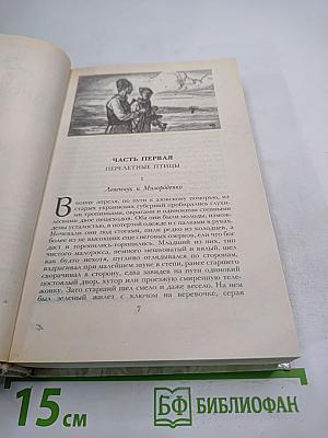 Беглые в Новороссии. Воля. Княжна Тараканова