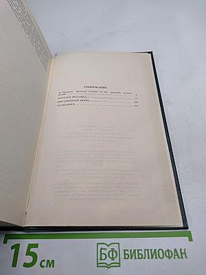 Круглая мозаика. Пирамидный дюйм. Мамелюки