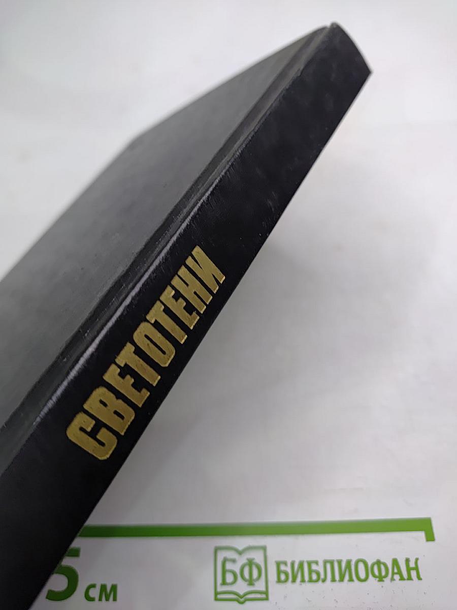 Светотени. Политический детектив