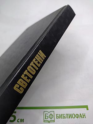 Светотени. Политический детектив