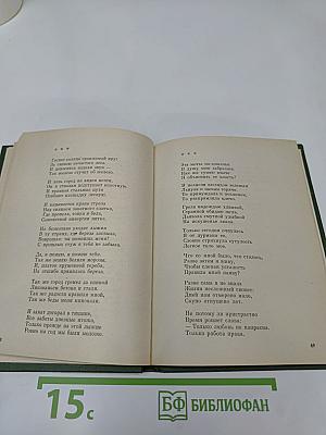 Тень яблони