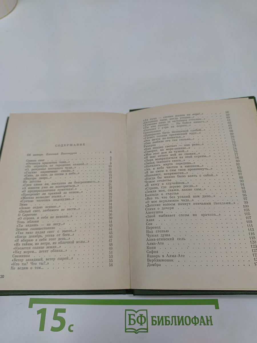 Тень яблони