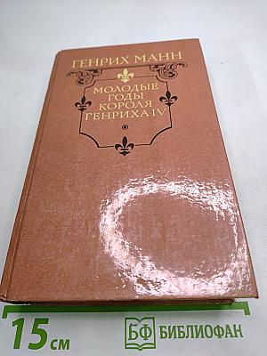 Молодые годы короля Генриха IV