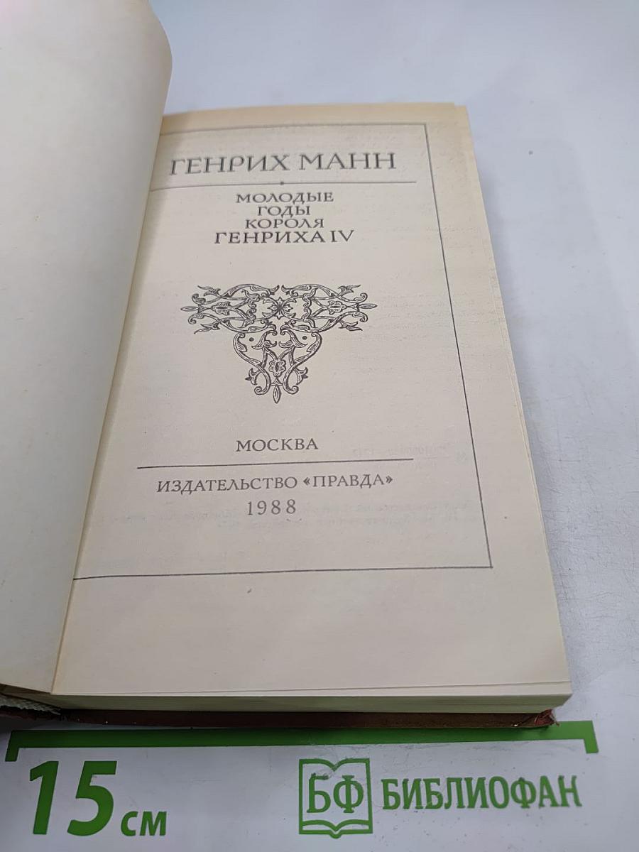 Молодые годы короля Генриха IV