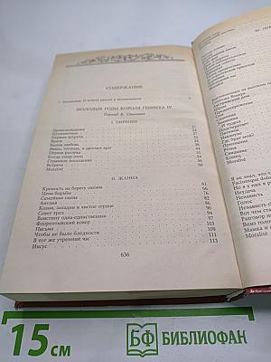 Молодые годы короля Генриха IV