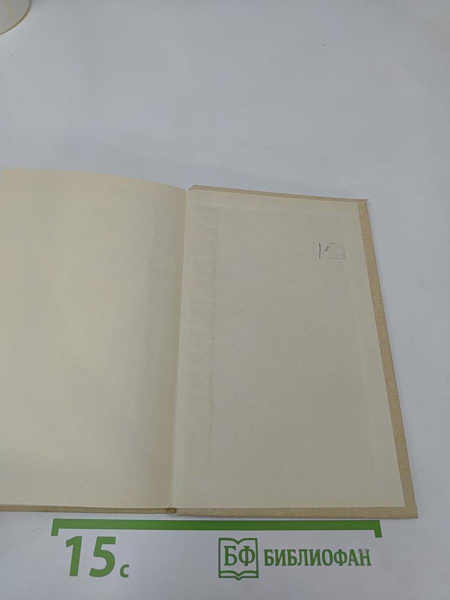 Погоня. Стихотворения